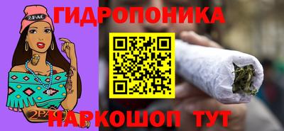 крисы Ирбит