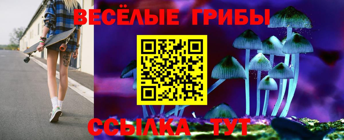 Псилоцибиновые грибы GOLDEN TEACHER Красноярск