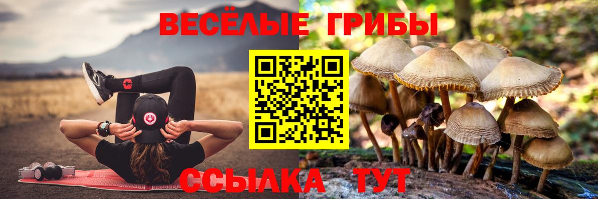 Галлюциногенные грибы Psilocybine cubensis  Вход с VPN  Красноярск  Псилоцибиновые грибы мухоморы 